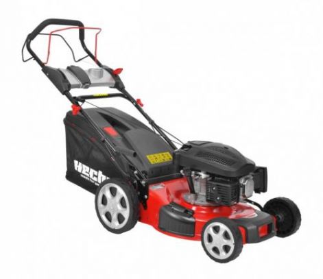 hecht-546_sxv.jpg