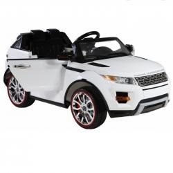 rover.jpg